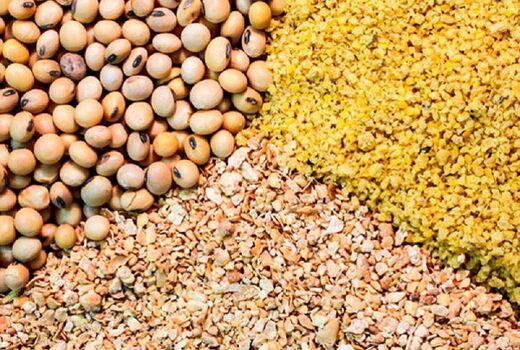 توزیع بیش از  110 هزارتن نهاده دامی در چهارمحال و بختیاری 