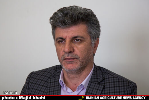 خوداتکایی ایران در تولید پنبه تا سال 1404 