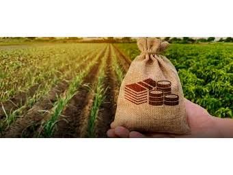 1200 میلیارد تسهیلات کشاورزی در آمل پرداخت شد