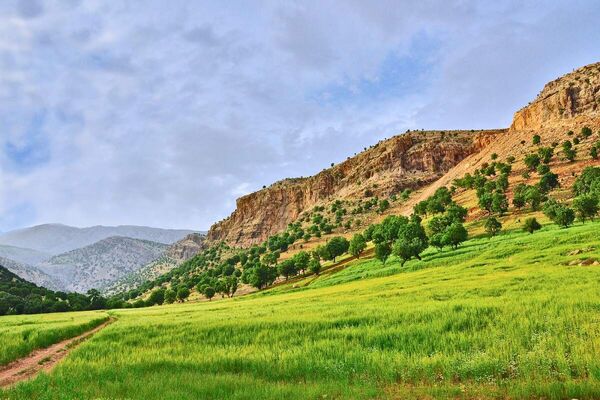 زاگرس، ستون آب و تنوع زیستی ایران| اینفوگرافیک