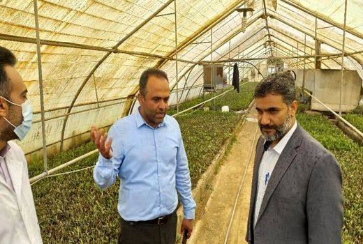 ظرفیت‌ ویژه جهاددانشگاهی برای تقبل ماموریت در حوزه گیاهان دارویی