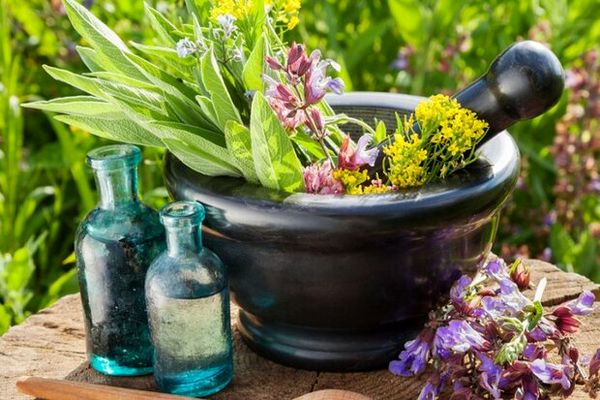 پهنهبندی مناطق عشایری آذربایجان شرقی در کشت گیاهان دارویی