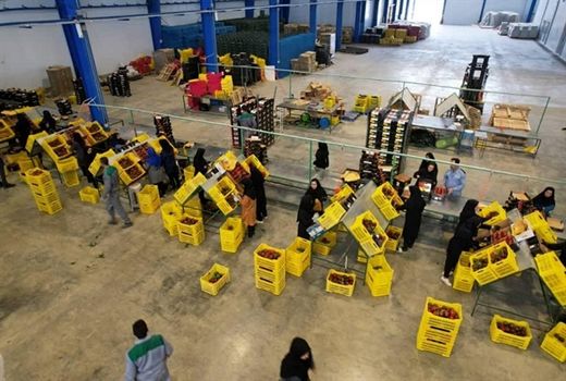 بهره برداری از سردخانه و سورتینگ 10 هزار تنی در استان فارس با حمایت بانک کشاورزی