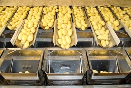 تقویت صنایع تبدیلی در اصفهان