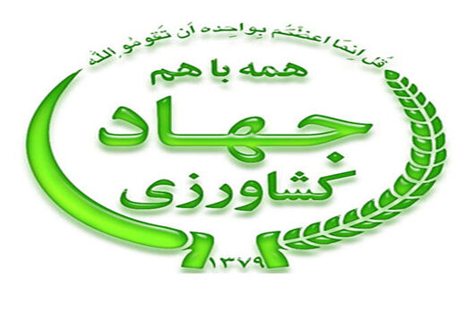 توصیه به دامداران برای مقابله با سرمازدگی در  استان بوشهر