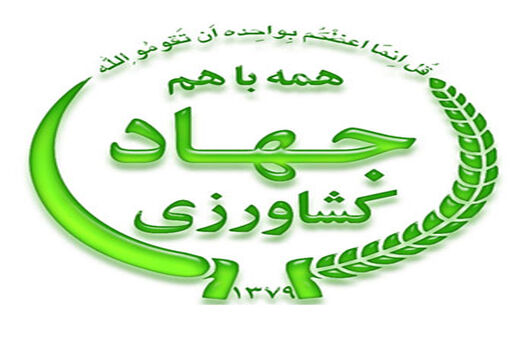 توصیه به دامداران برای مقابله با سرمازدگی در  استان بوشهر
