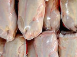 620 تن گوشت مرغ منجمد در سیستان و بلوچستان توزیع شد