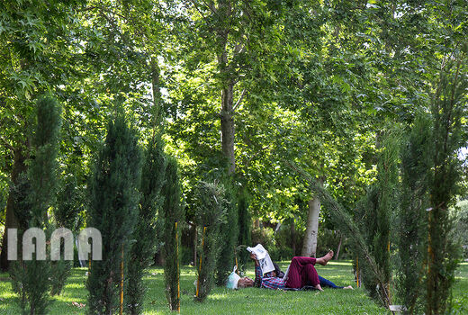 استراحت در پارک