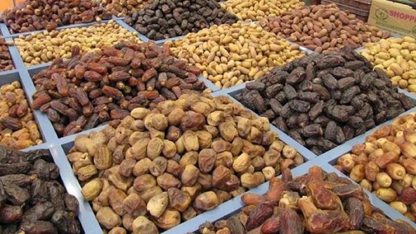 تولید 1.3 میلیون تن خرما در سال جاری 