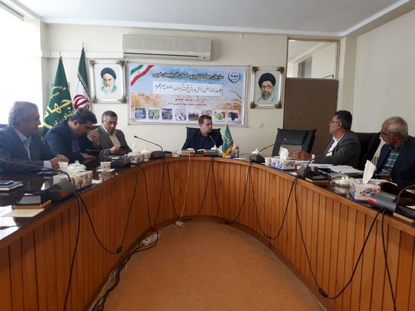 ضرورت شناسایی سر منشا ورود فاضلاب شهری به اراضی کشاورزی  