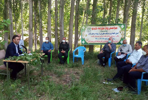 برگزاری مراسم روز مزرعه گردو در کلیبر