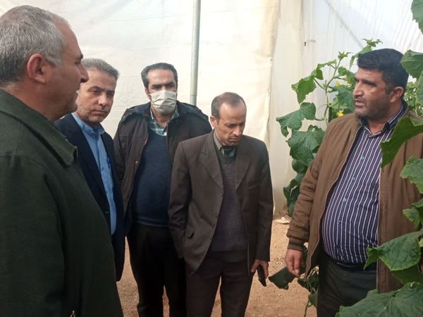 سرمایه گذاری 63 میلیارد ریالی برای گشایش یک گلخانه در سپیدان