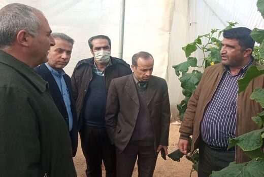 سرمایه گذاری 63 میلیارد ریالی برای گشایش یک گلخانه در سپیدان