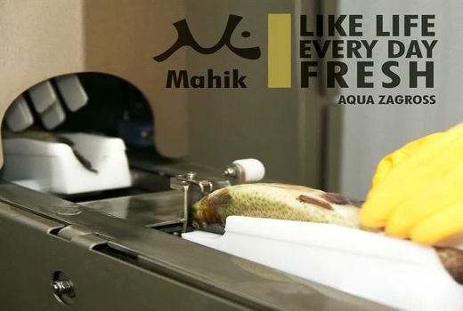 فرآوری و صادرات خاویار از فارس عملیاتی می‌شود