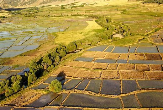 سه راهکار برای ‌پوست‌اندازی در بخش کشاورزی و رشد امنیت غذایی