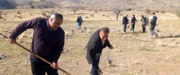 اجرای پویش بذرکاری در ارسنجان