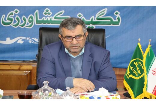 خرید 60 هزارتن گندم در مازندران