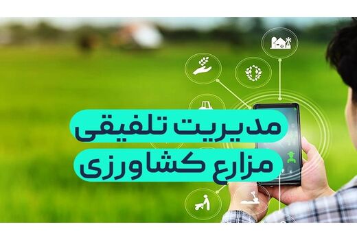 تولید محصول سالم برنج در سه هزار هکتار شالیزار مازندران
