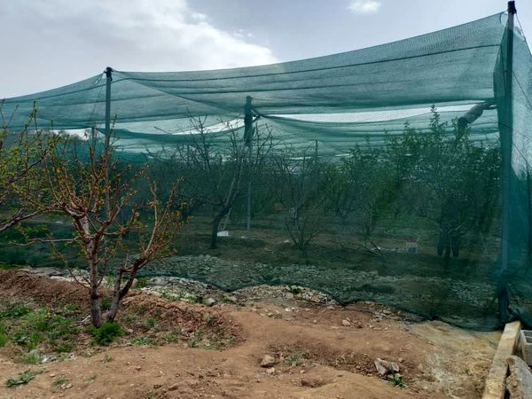 اجرای طرح پایلوت "سایهبان باغی" برای خشکسالی پیش رو در آذربایجان شرقی