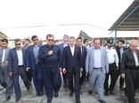 وزیر جهاد کشاورزی از شرکت دامپروری شیری هزار راسی کاوات در شهرستان روانسر بازدید کرد