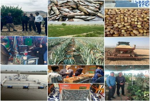 قیروکارزین پیشتاز در تحقق اهداف اقتصاد مقاومتی