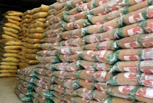 توزیع ۱۰۰۰ تن برنج با قیمت ستاد تنظیم بازار در استان بوشهر آغاز شد 