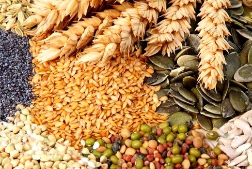 امنیت غذایی هم‌وزن امنیت نظامی است