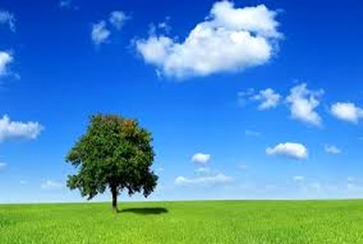 روز ملی هوای پاک فرصتی برای تجدید نظرها