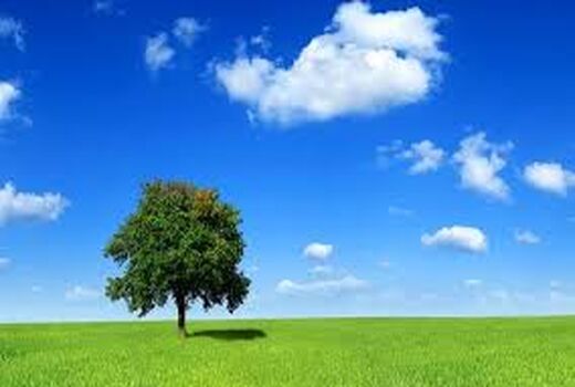 روز ملی هوای پاک فرصتی برای تجدید نظرها