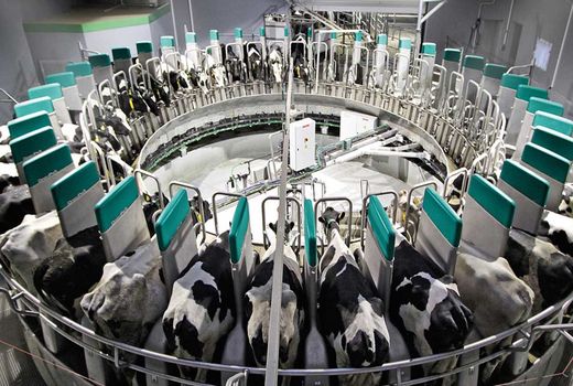 فناوری‌های نوین بهره‌وری تولید را افزایش نمی‌دهد مگر بازار رقابتی شکل گیرد