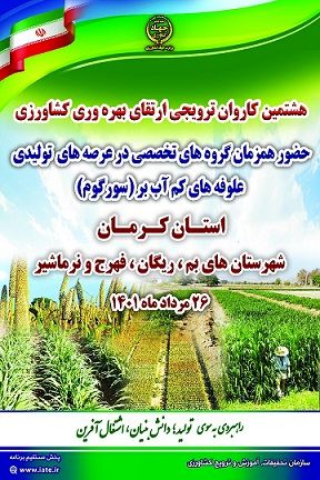 تأمین علوفه دام با توسعه کشت گیاه علوفه ای کم آب بر سورگوم