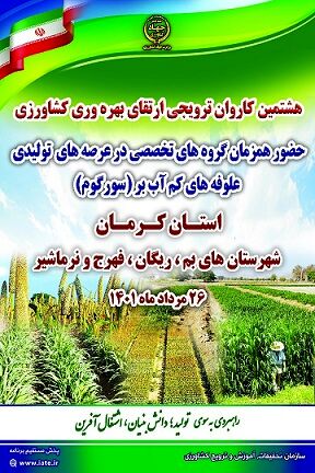تأمین علوفه دام با توسعه کشت گیاه علوفه ای کم آب بر سورگوم