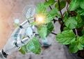 زیست‌بوم فناوری؛ از استقرار هسته‌های نوآور تا ورود فناوری به عرصه تولید