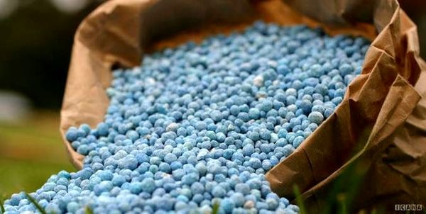 استفاده از کودشیمیایی در اراضی خراسان شمالی کاهش یافت