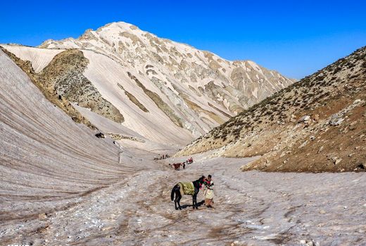 ۷۰ درصد از ایل‌راه‌های عشایری چهارمحال و بختیاری خسارت دید