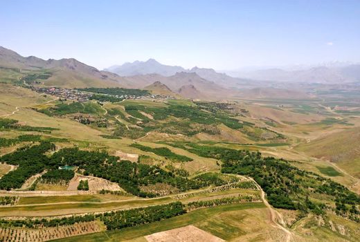 دو هزار و  750 هکتار باغ در اراضی شیبدار چهارمحال و بختیاری ایجاد شد