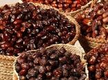 لغو ممنوعیت صادرات خرما/ حمایت از صادرات محصولات مازاد در دستور کار است