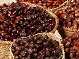 لغو ممنوعیت صادرات خرما/ حمایت از صادرات محصولات مازاد در دستور کار است