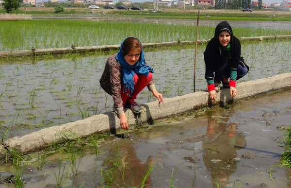 رشد کودک شهرنشین در گرو گردشگری کشاورزی