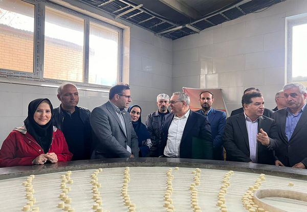 همکاری با بخش خصوصی با هدف رفع نیازمندیهای فنآورانه شرکتها از اولویتهای اصلی پژوهشگاه است