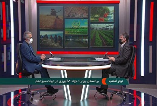 تعیین قیمت 7500 تومانی گندم برای سال زراعی جدید