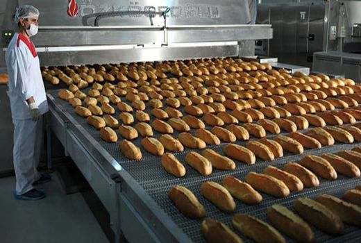 دورریز کمتر، ارزش غذایی بیشتر؛ نگاهی به نان صنعتی