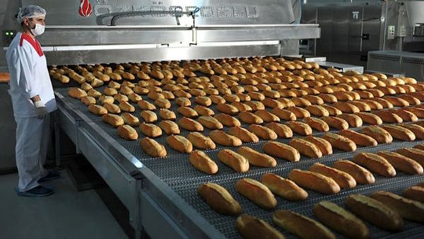 دورریز کمتر، ارزش غذایی بیشتر؛ نگاهی به نان صنعتی