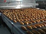 دورریز کمتر، ارزش غذایی بیشتر؛ نگاهی به نان صنعتی