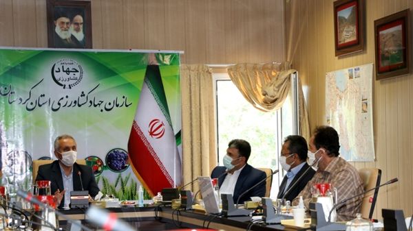 توسعه کشاورزی کردستان در گرو آموزش بازار محور است