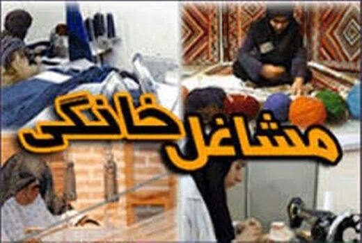 12 فقره مجوز مشاغل خانگی کشاورزی در جویبار صادر شد