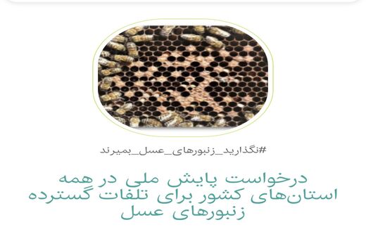 مشکلات زنبورداری کشور پا به کارزار گذاشت/ تحقق حمایت جمعی از زنبورهای عسل

