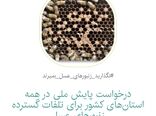 مشکلات زنبورداری کشور پا به کارزار گذاشت/ تحقق حمایت جمعی از زنبورهای عسل

