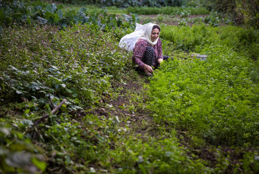 اقدامات مطلوبی در راستای مهاجرت معکوس روستائیان انجام شده است