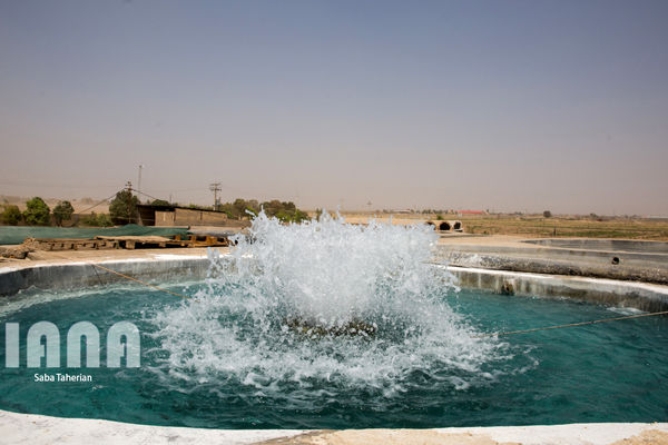افزایش 35 درصدی بهره‌وری با استخرهای آبیاری
